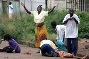 20081130161236861734_5