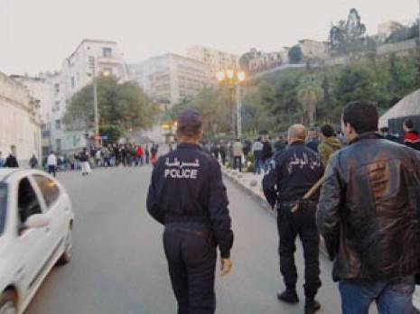 alger_781036_465x348