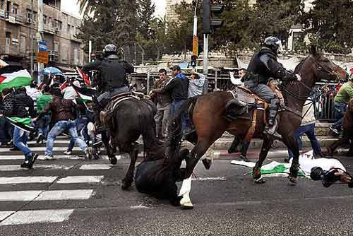 charge-a-cheval-jeru-301312