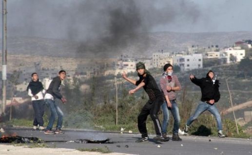 U166P5029T2D563539F24DT20130221114930