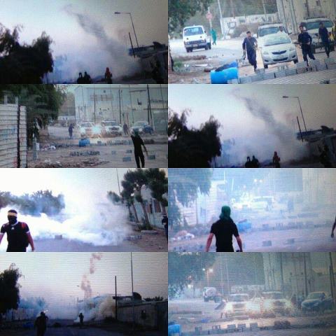 532198_407983275967223_457050186_n