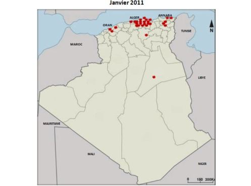 algérie janvier 2011