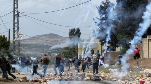 pirhayati20130419194557357