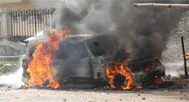 946569_10151445721109436_518388473_n