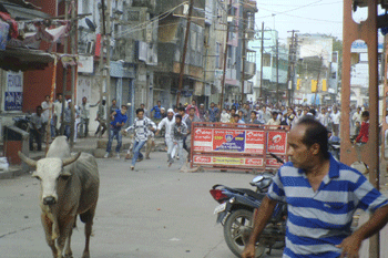 1371830779_veravad-3