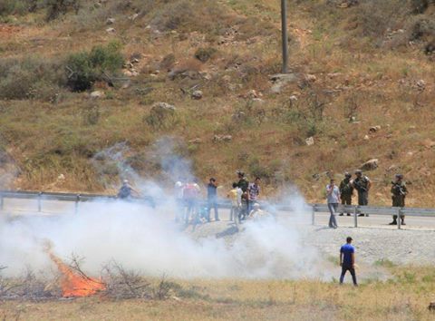 247706_10151945174880760_904566203_n