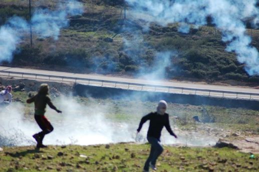 45689_263235130475215_1363510782_n