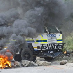 burned-nyala-250×250