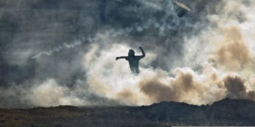 4384032_3_cae2_sur-la-plaza-altamira-de-caracas-au-venezuela_cb3528cb1edf58b8eee2e6ac4ec87f66