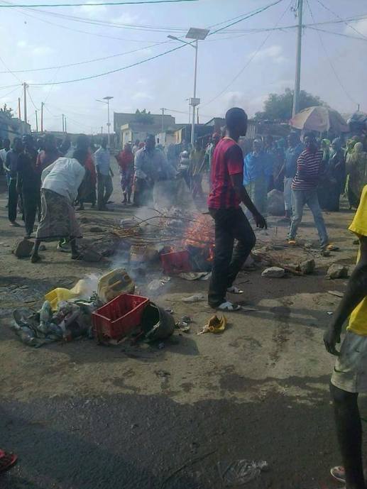 3477_558178137667052_5961663925843722842_n